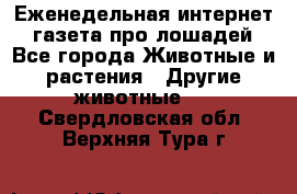 Еженедельная интернет - газета про лошадей - Все города Животные и растения » Другие животные   . Свердловская обл.,Верхняя Тура г.